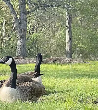 Beardsley Park - Bridgeport, CT