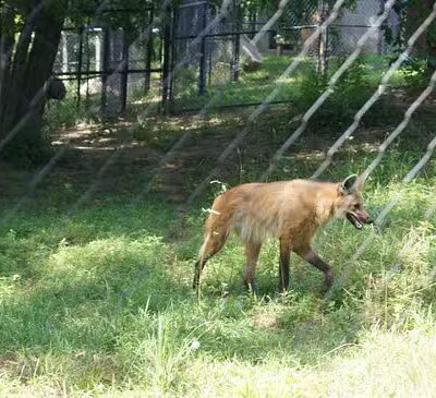 Beardsley Park - Bridgeport, CT