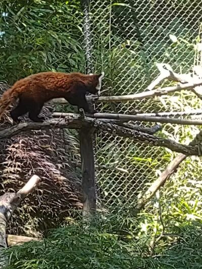 Beardsley Park - Bridgeport, CT