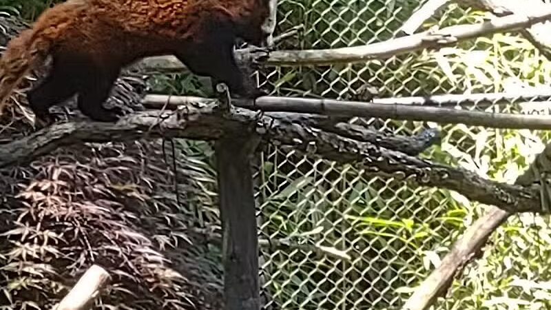 Beardsley Park - Bridgeport, CT