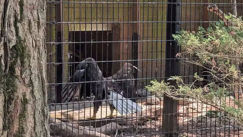 Connecticut's Beardsley Zoo - Bridgeport, CT
