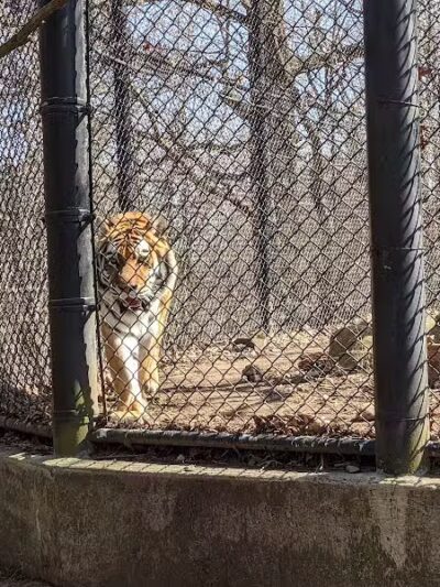 Connecticut's Beardsley Zoo - Bridgeport, CT