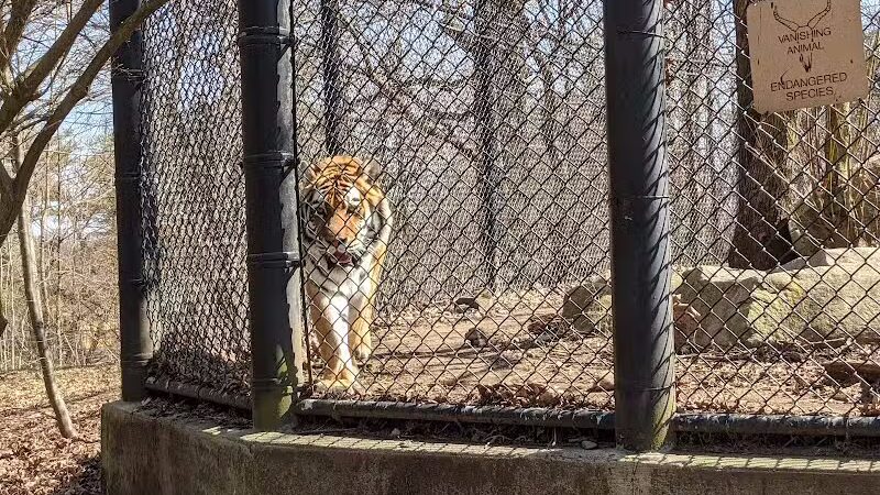 Connecticut's Beardsley Zoo - Bridgeport, CT