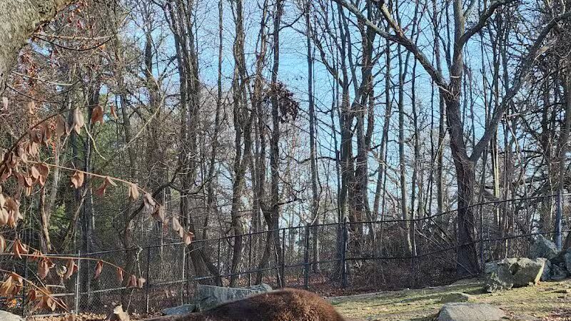 Connecticut's Beardsley Zoo - Bridgeport, CT