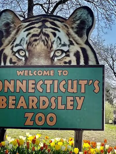 Connecticut's Beardsley Zoo - Bridgeport, CT