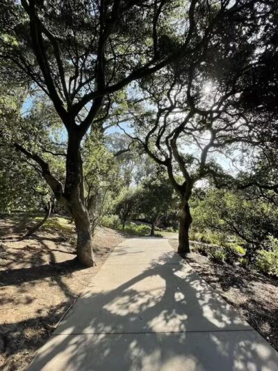 Lafayette Park - Bridgeport, CT