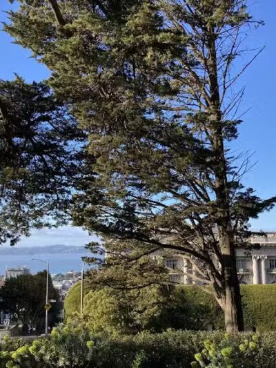 Lafayette Park - Bridgeport, CT