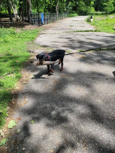 Veterans Memorial Park - Bridgeport, CT