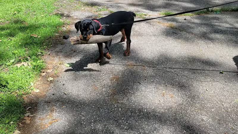 Veterans Memorial Park - Bridgeport, CT