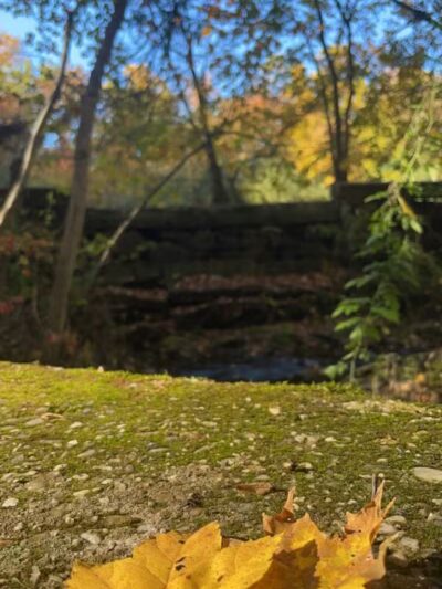 Veterans Memorial Park - Bridgeport, CT