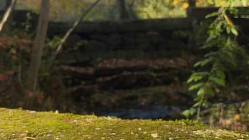 Veterans Memorial Park - Bridgeport, CT