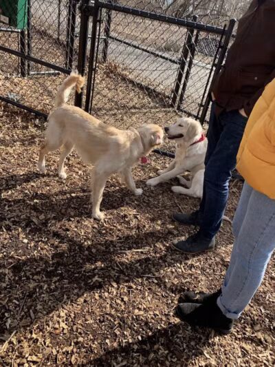 Veterans Memorial Park - Bridgeport, CT