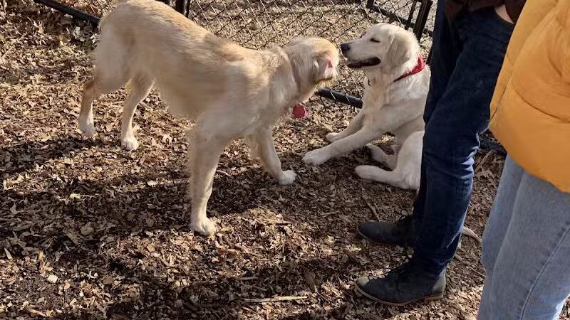 Veterans Memorial Park - Bridgeport, CT