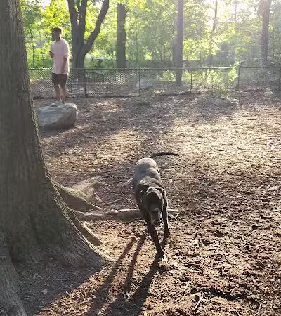 Veterans Memorial Park - Bridgeport, CT