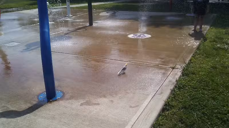 Went Field - Bridgeport, CT