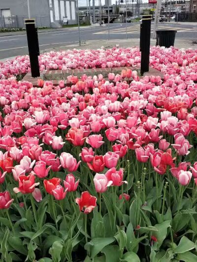 West End Park - Bridgeport, CT