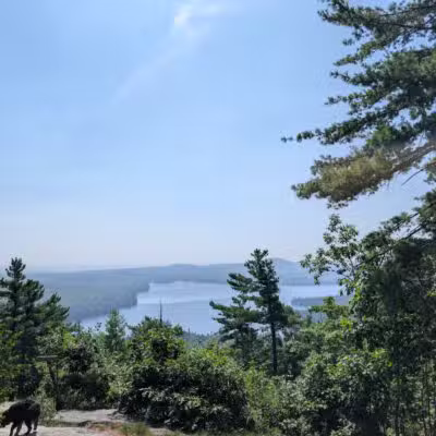 Bald Pate Preserve Parking Area - Bridgton, ME