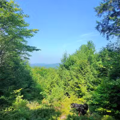 Bald Pate Preserve Parking Area - Bridgton, ME