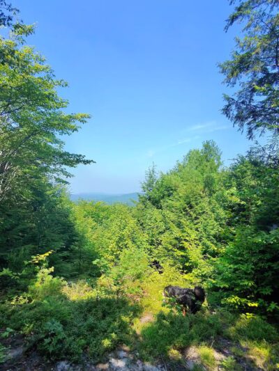 Bald Pate Preserve Parking Area - Bridgton, ME