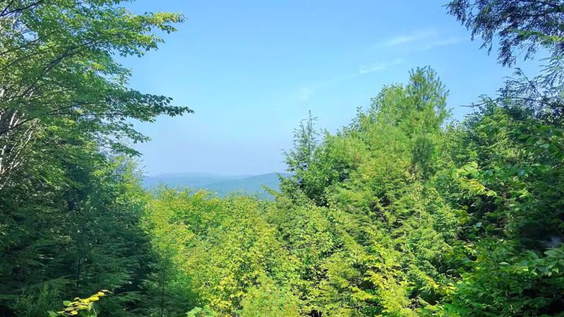 Bald Pate Preserve Parking Area - Bridgton, ME