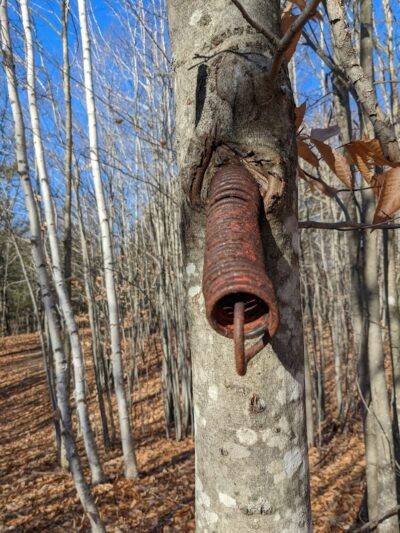 Bald Pate Preserve Parking Area - Bridgton, ME