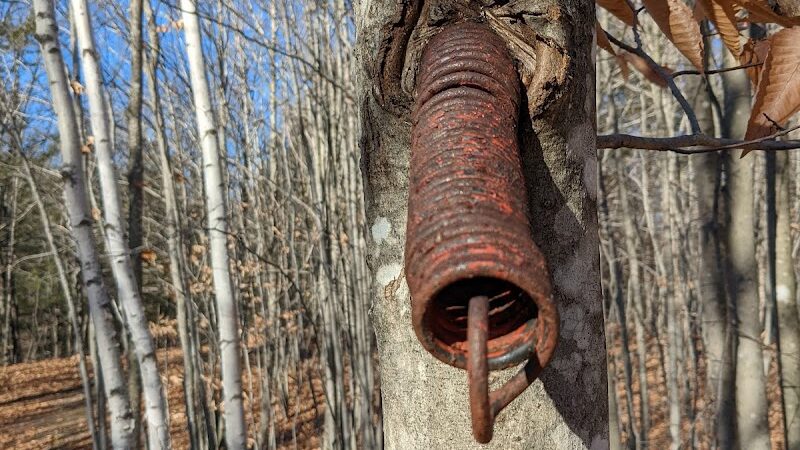 Bald Pate Preserve Parking Area - Bridgton, ME