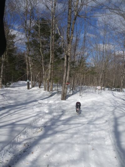 Bald Pate Preserve Parking Area - Bridgton, ME