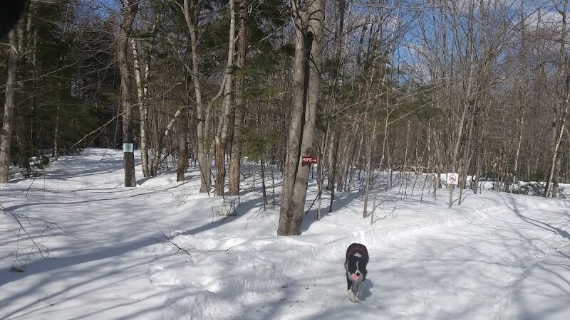 Bald Pate Preserve Parking Area - Bridgton, ME