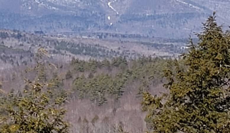 Bald Pate Preserve Parking Area - Bridgton, ME