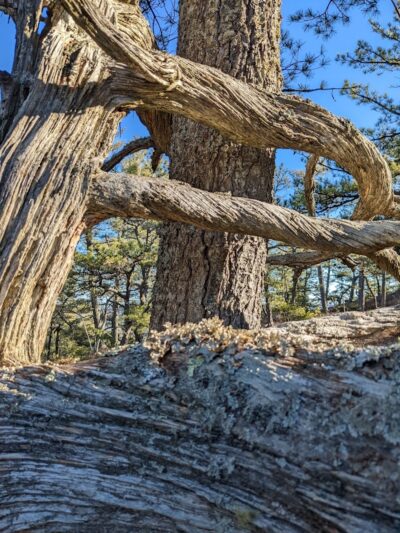 Bald Pate Preserve Parking Area - Bridgton, ME