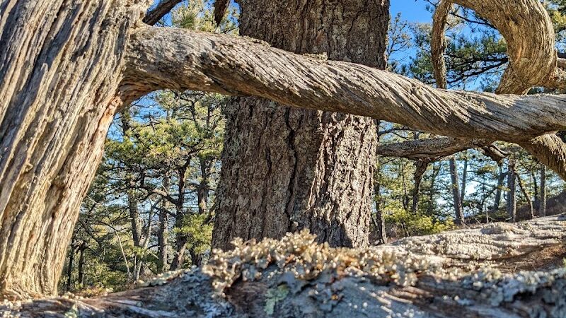 Bald Pate Preserve Parking Area - Bridgton, ME