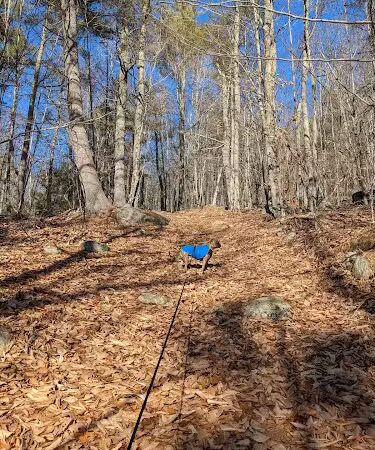 Bald Pate Preserve Parking Area - Bridgton, ME