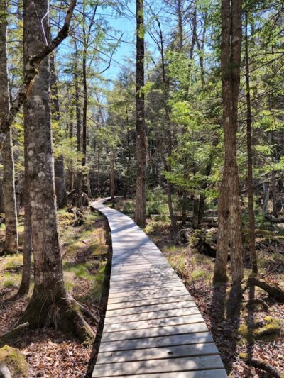 Pondicherry Park - Bridgton, ME