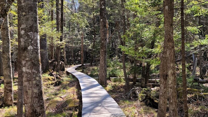 Pondicherry Park - Bridgton, ME