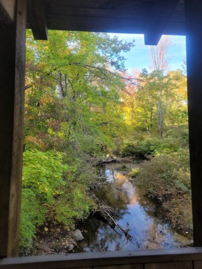 Pondicherry Park - Bridgton, ME