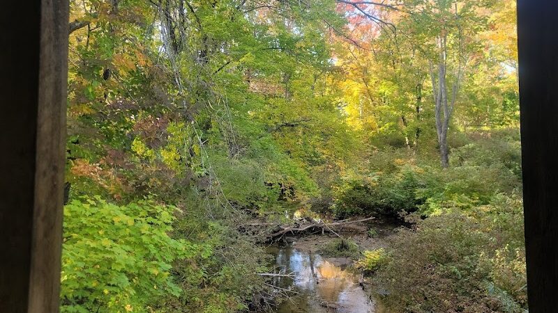 Pondicherry Park - Bridgton, ME