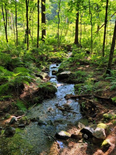 Pondicherry Park - Bridgton, ME