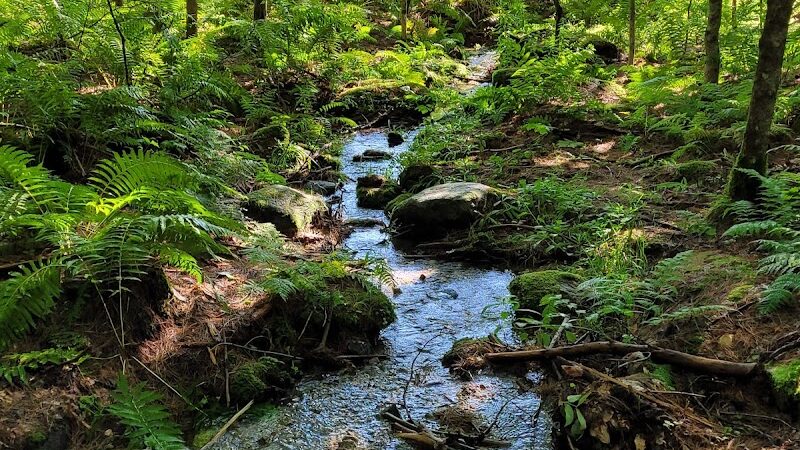 Pondicherry Park - Bridgton, ME