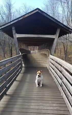 Pondicherry Pet Loop - Bridgton, ME