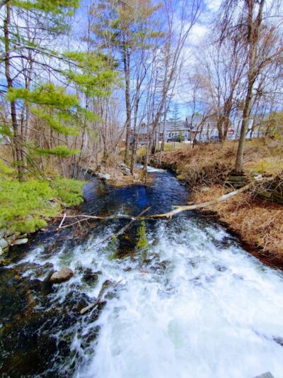 Shorey Park - Bridgton, ME