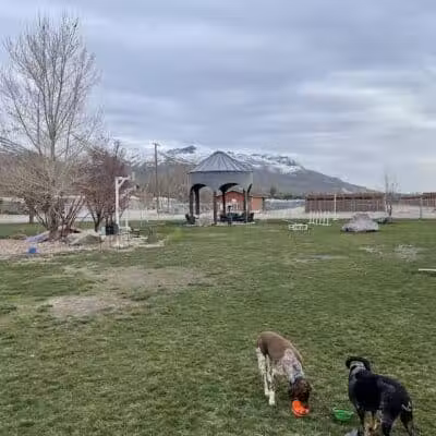The Barking Lot - Brigham City, UT