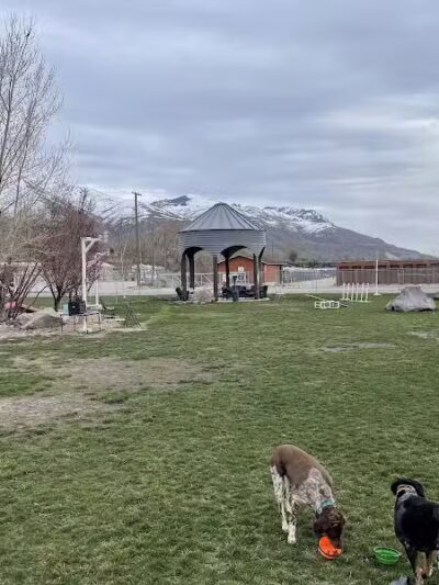 The Barking Lot - Brigham City, UT