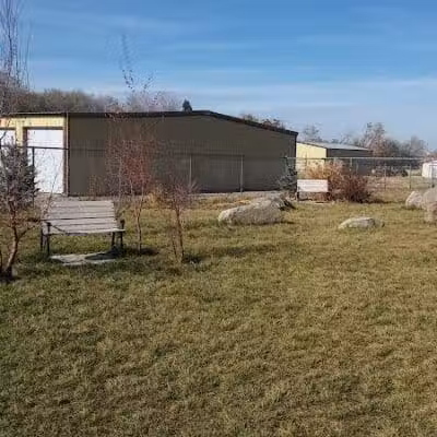 The Barking Lot - Brigham City, UT