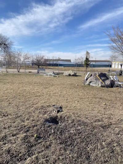 The Barking Lot - Brigham City, UT