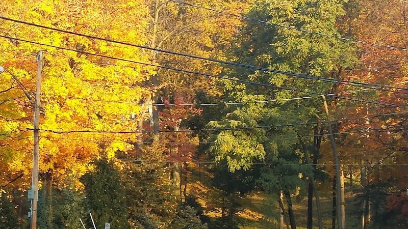 Persimmon Park - Brighton, NY