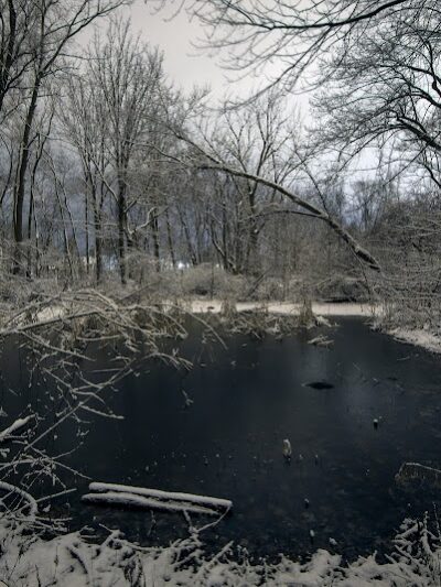 Persimmon Park - Brighton, NY