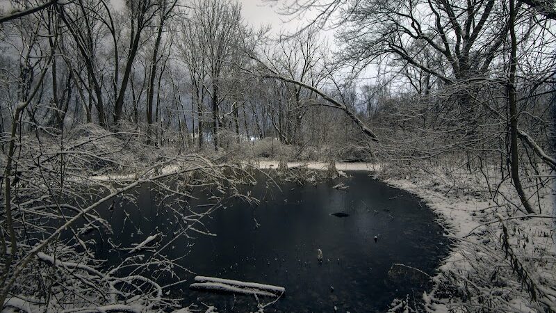 Persimmon Park - Brighton, NY