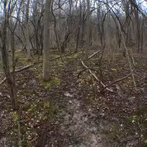 Persimmon Park - Brighton, NY