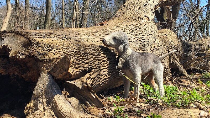 Persimmon Park - Brighton, NY