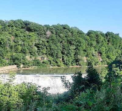 Persimmon Park - Brighton, NY